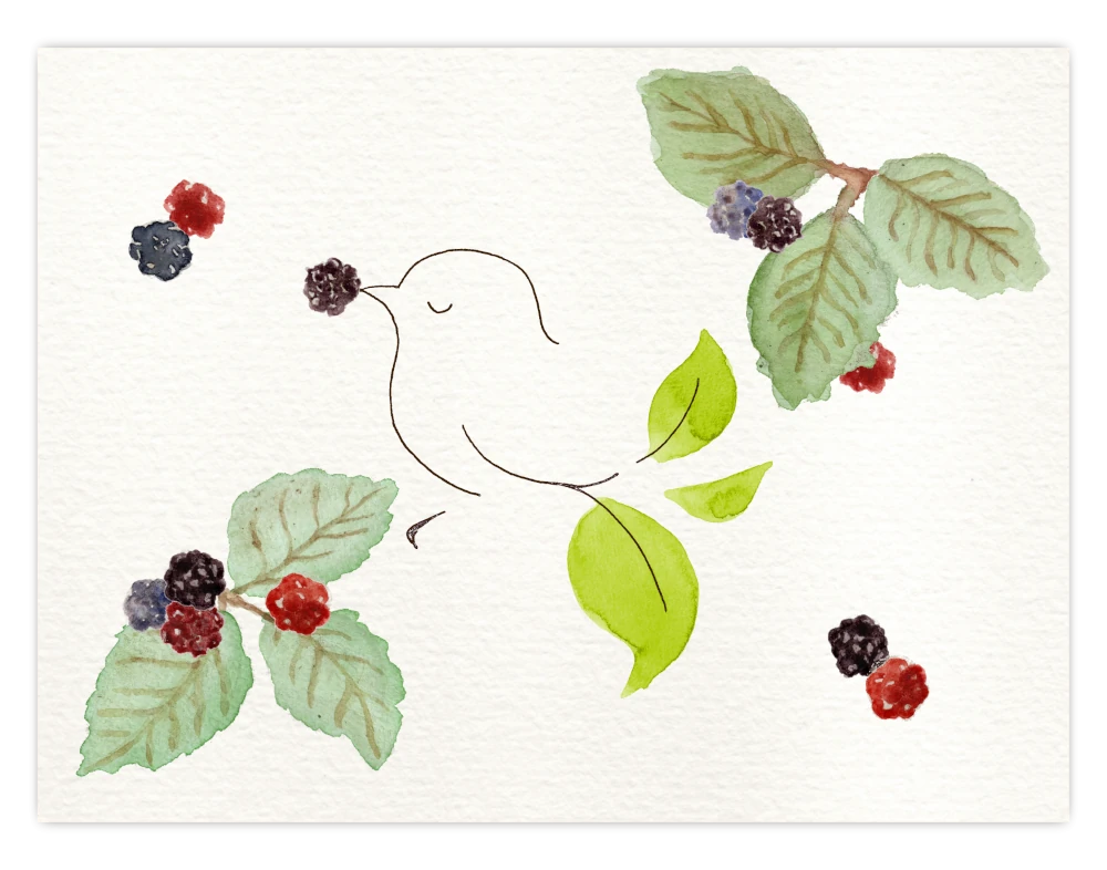 Toridori birdy with blackberries