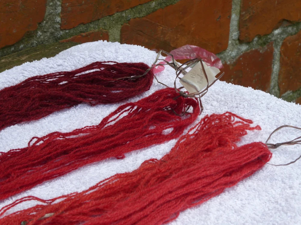 wool threads dyed with four different natural red dyes.